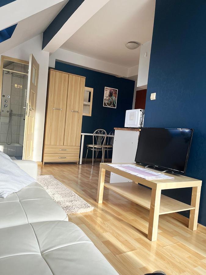 Apartament Maria Krakow Bagian luar foto